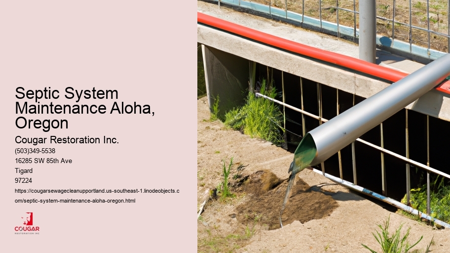Septic System Maintenance Aloha, Oregon