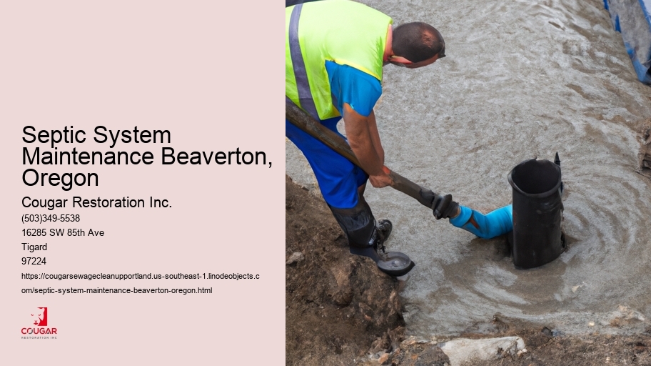 Septic System Maintenance Beaverton, Oregon