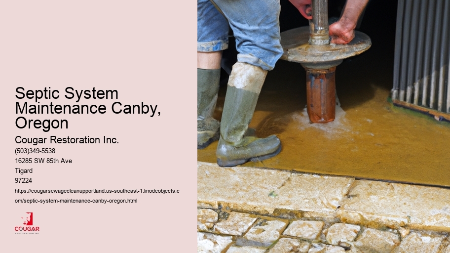 Septic System Maintenance Canby, Oregon