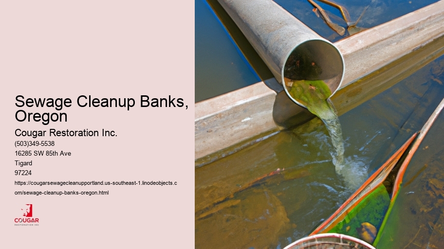 Sewage Cleanup Banks, Oregon