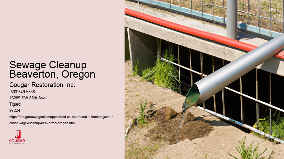Sewage Cleanup Beaverton, Oregon