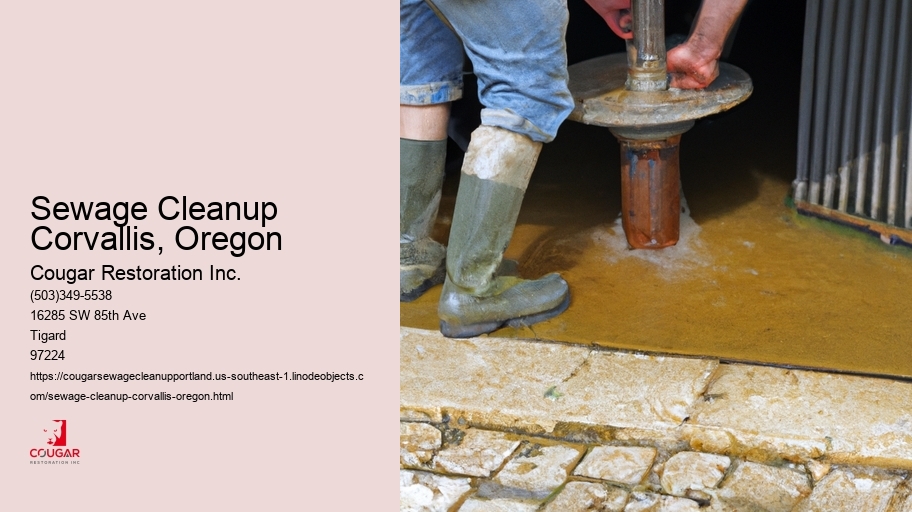 Sewage Cleanup Corvallis, Oregon